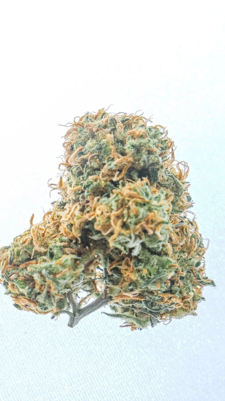close up photo of kush on white background